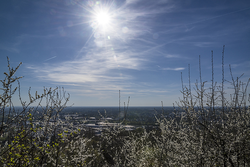sonne satt im fruehling
