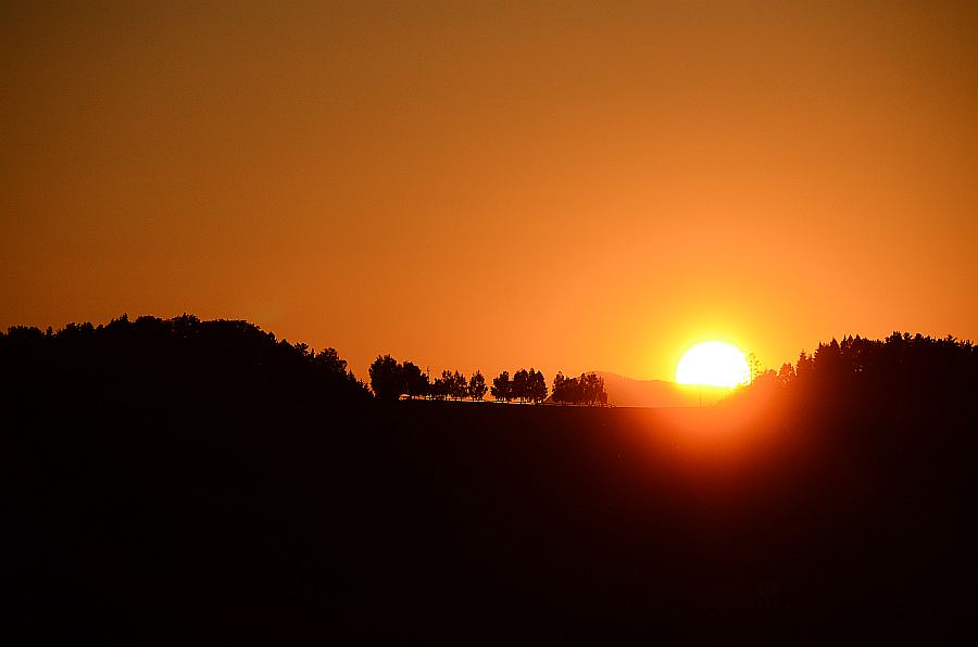 sonne