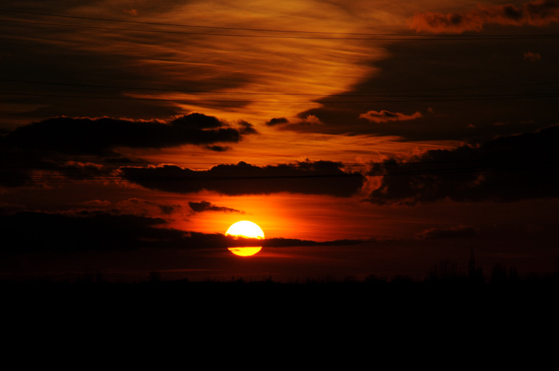 sonne2011