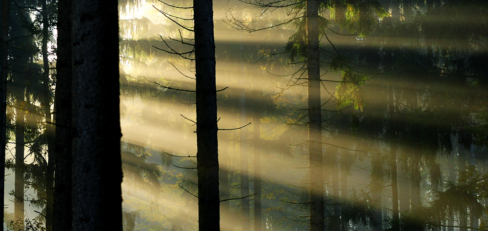 Sonne3
