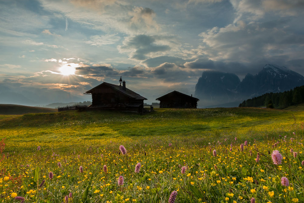 Sonneaufgang auf der Sesier Alm mit dem Langkofel