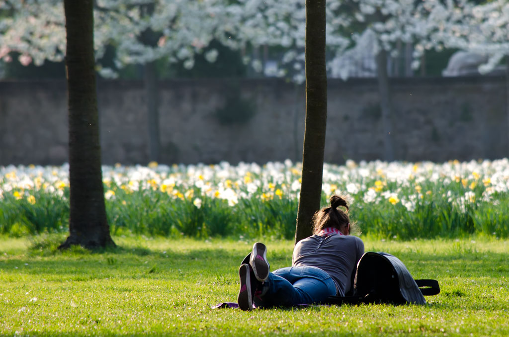 sonnen im park