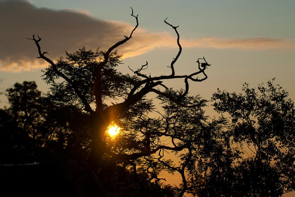 Sonnenaufgang über dem Bodetal