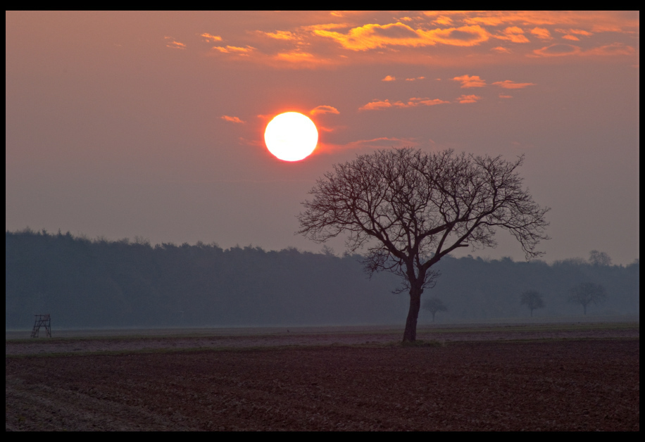 Sonnenaufgang 3