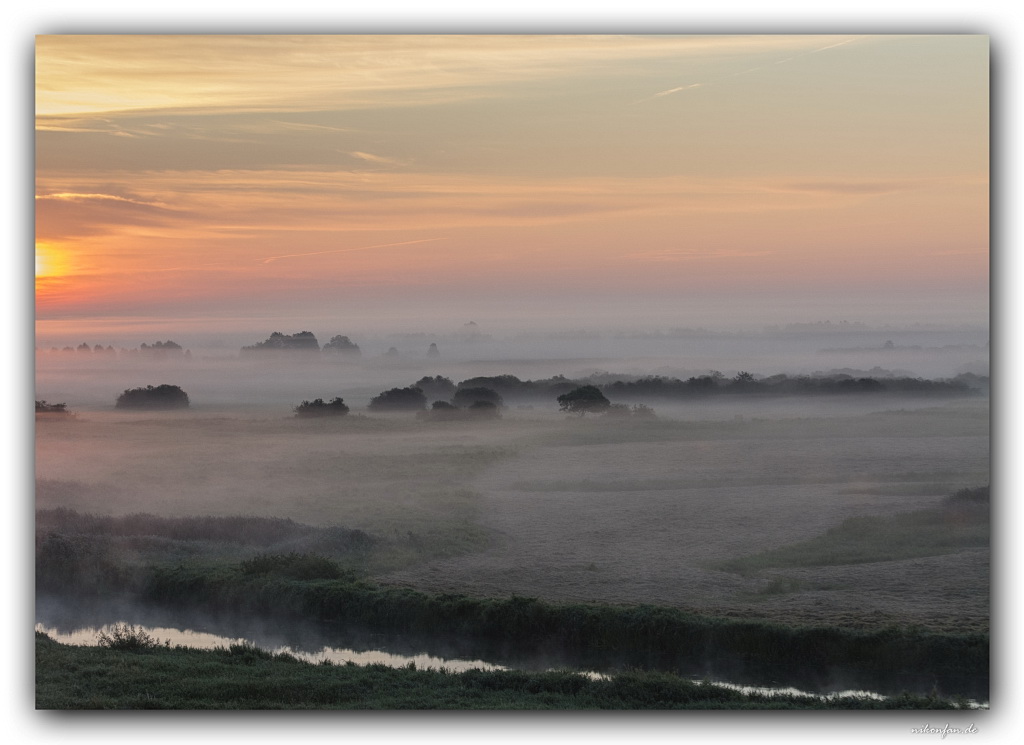 Sonnenaufgang Biebrza