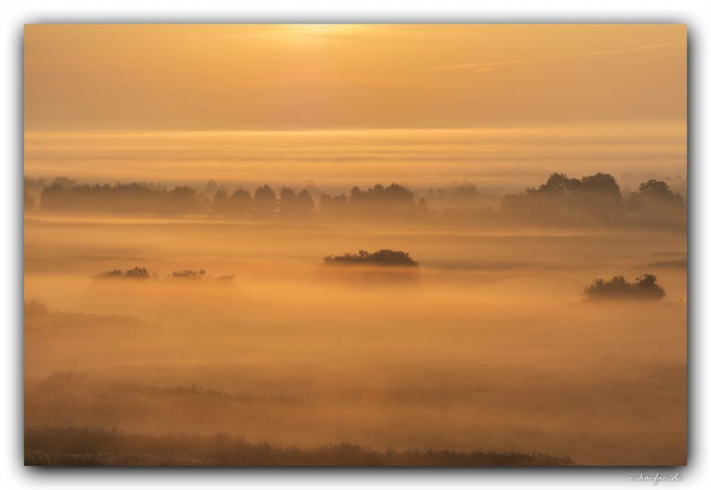 Sonnenaufgang Biebrza