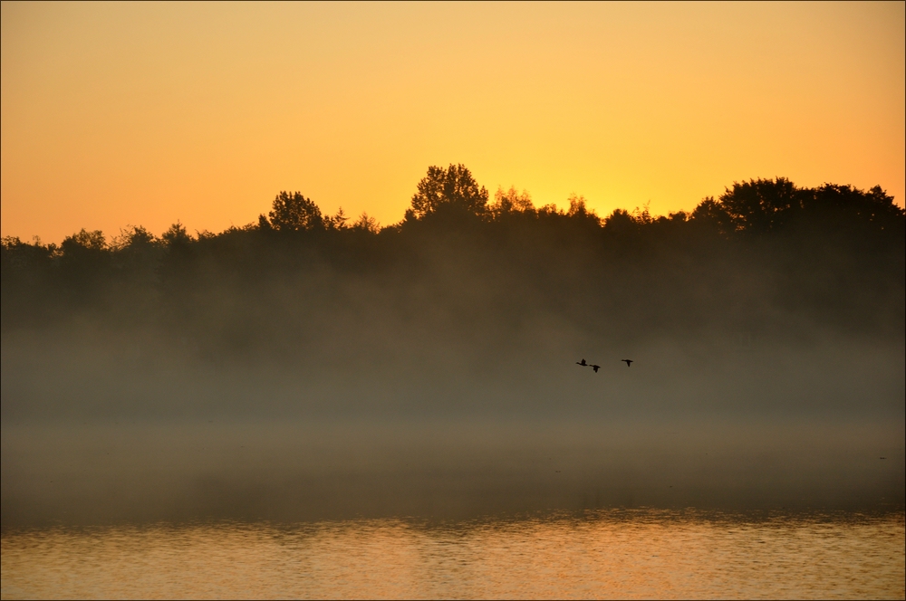 Sonnenaufgang Bossee 05