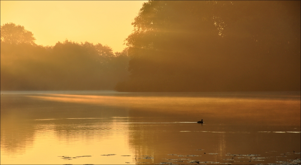 Sonnenaufgang Bossee 06