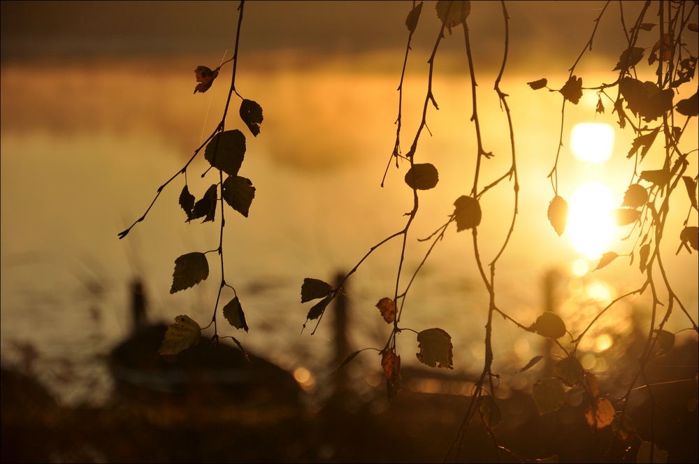 Sonnenaufgang Bossee 09