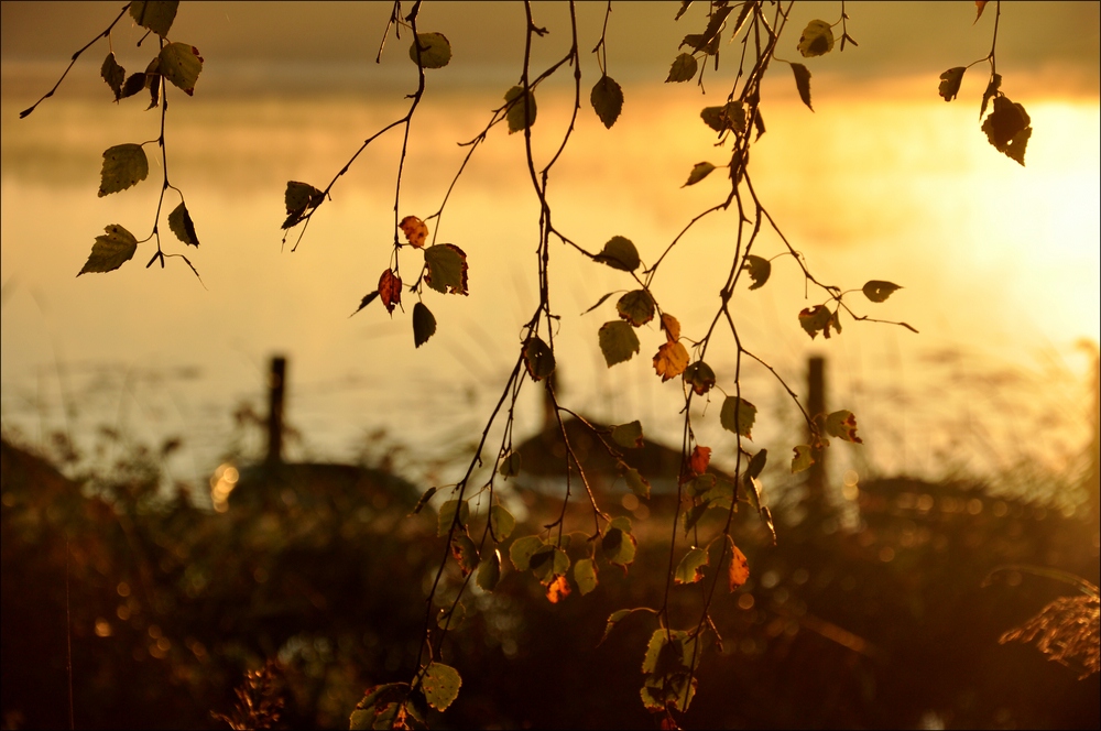 Sonnenaufgang Bossee 10