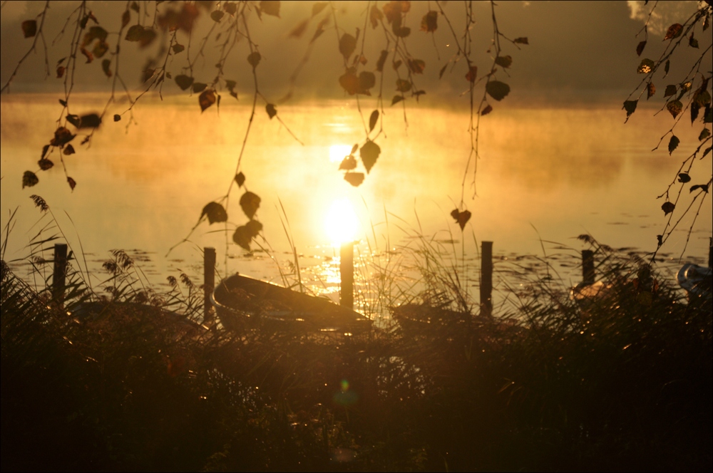 Sonnenaufgang Bossee 11