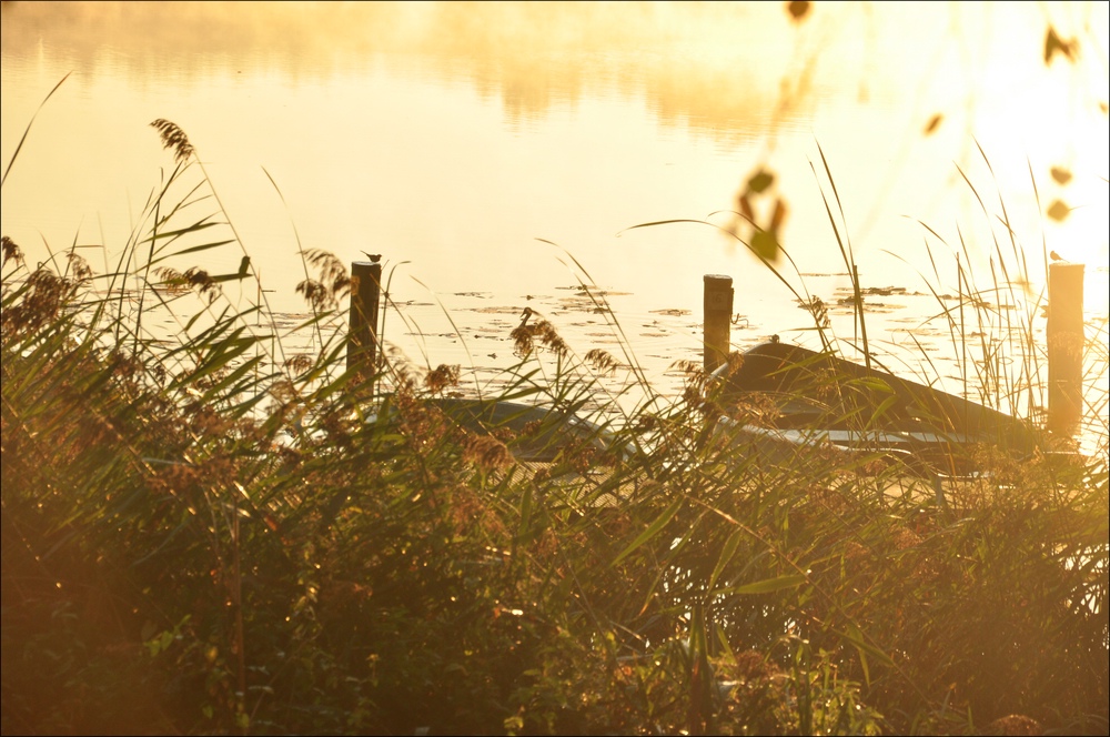 Sonnenaufgang Bossee 12