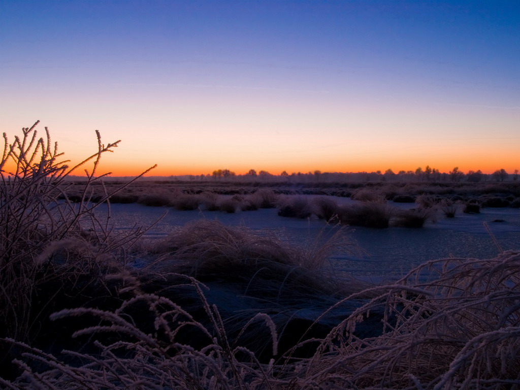 Sonnenaufgang im Moor 001
