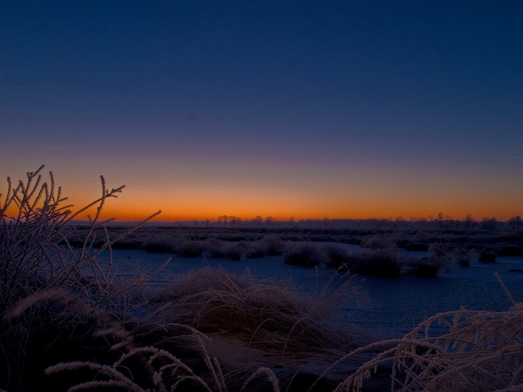 Sonnenaufgang im Moor 002