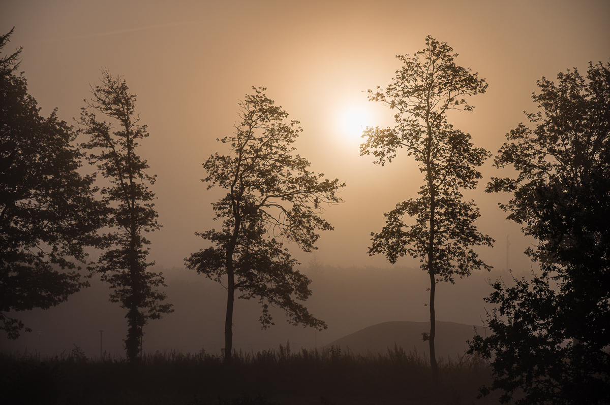 Sonnenaufgang im Nebel