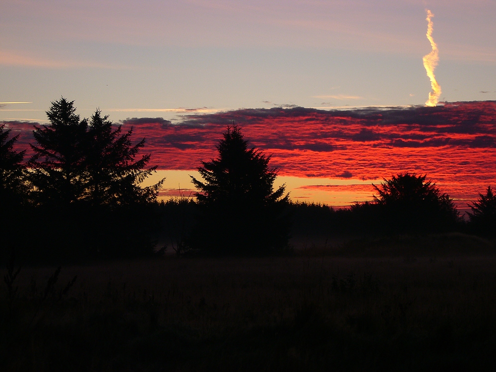 Sonnenaufgang in Nörre Nebel 1