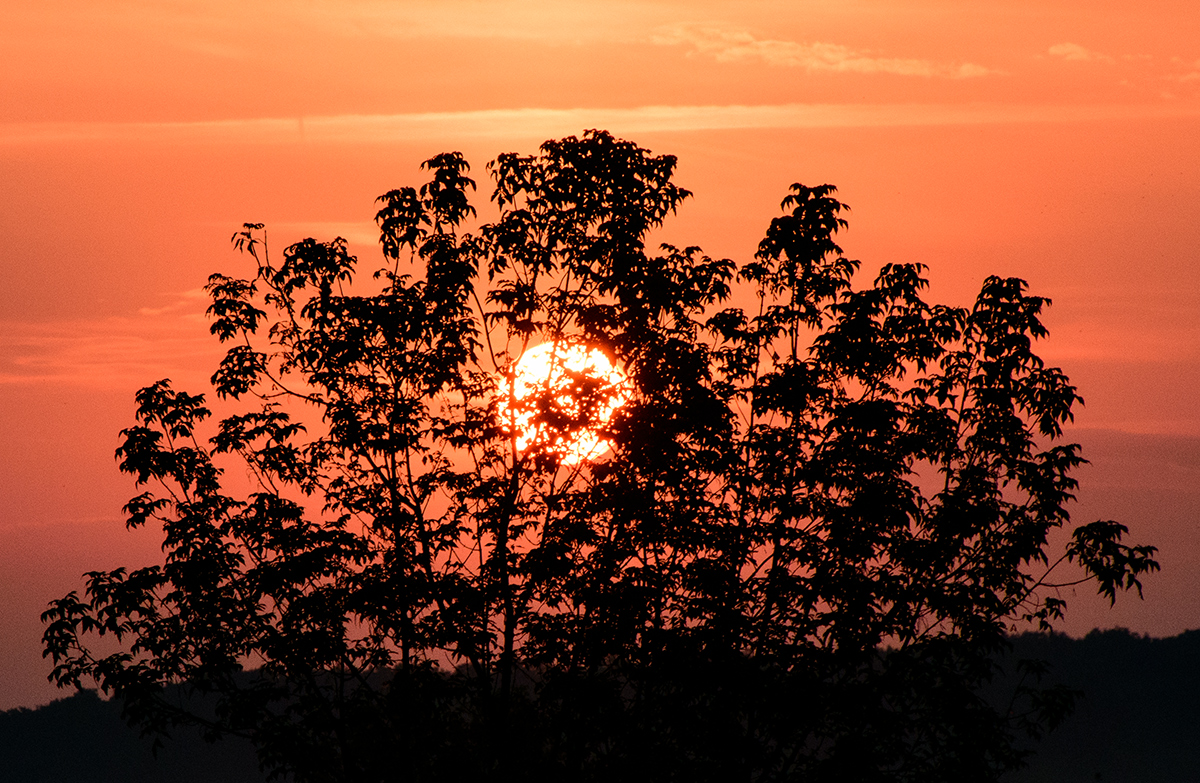 Sonnenaufgang.jpg