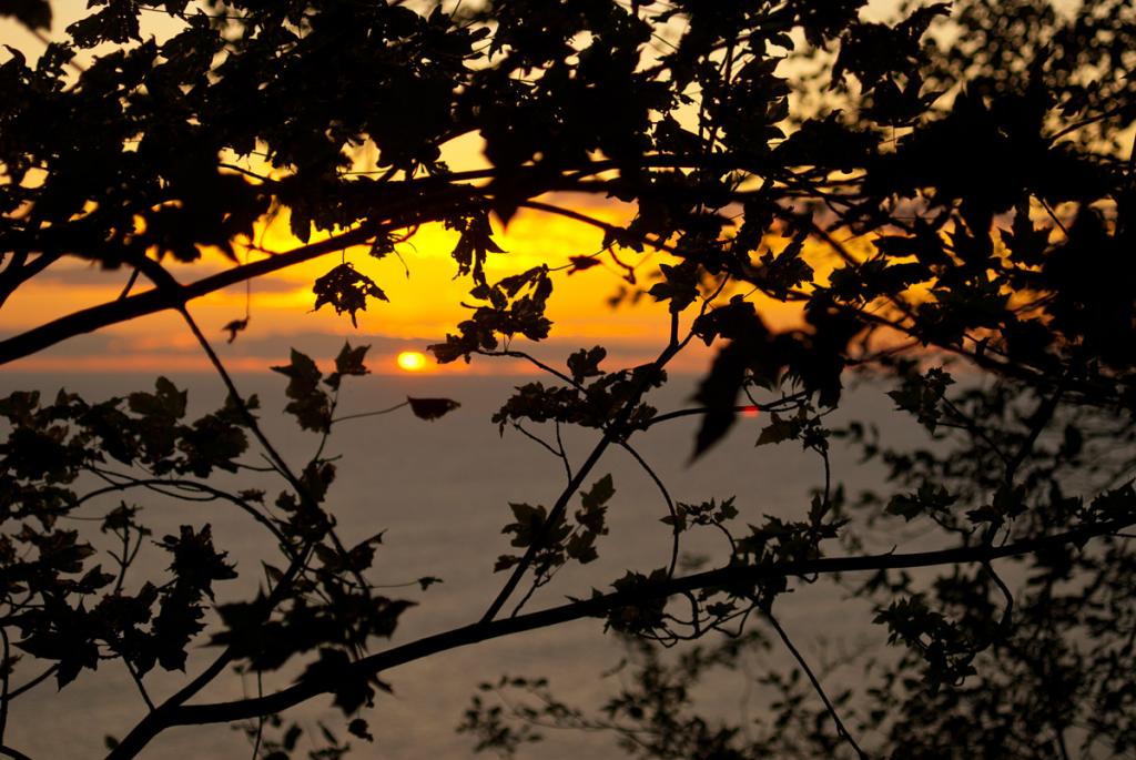 Sonnenaufgang Koenigsstuhl