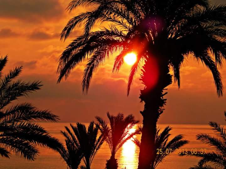 Sonnenaufgang mahdia