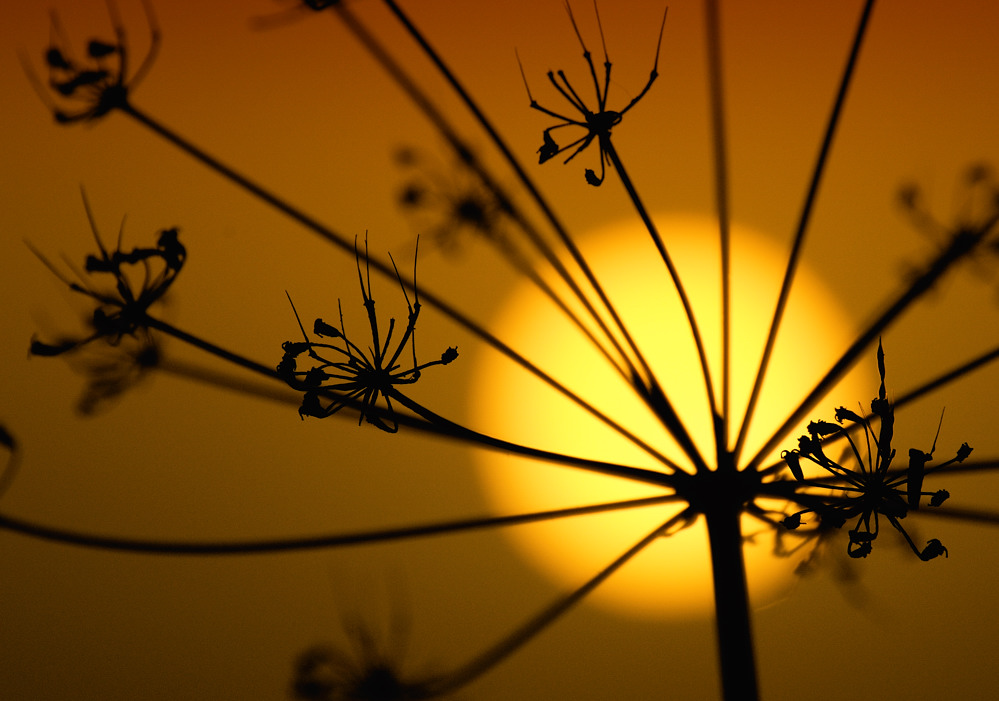 Sonnenaufgang