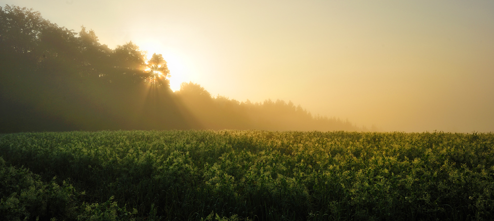 Sonnenaufgang01