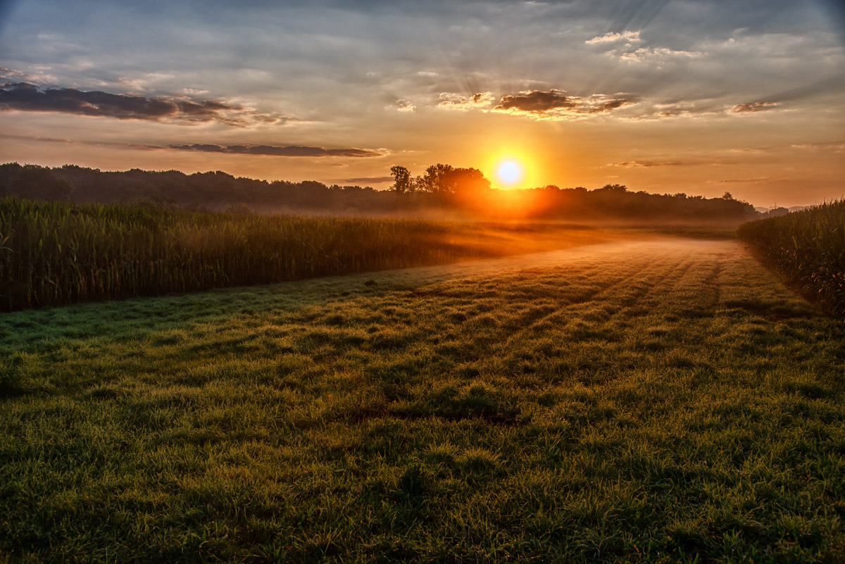 sonnenaufgang_35mm_1201.jpg