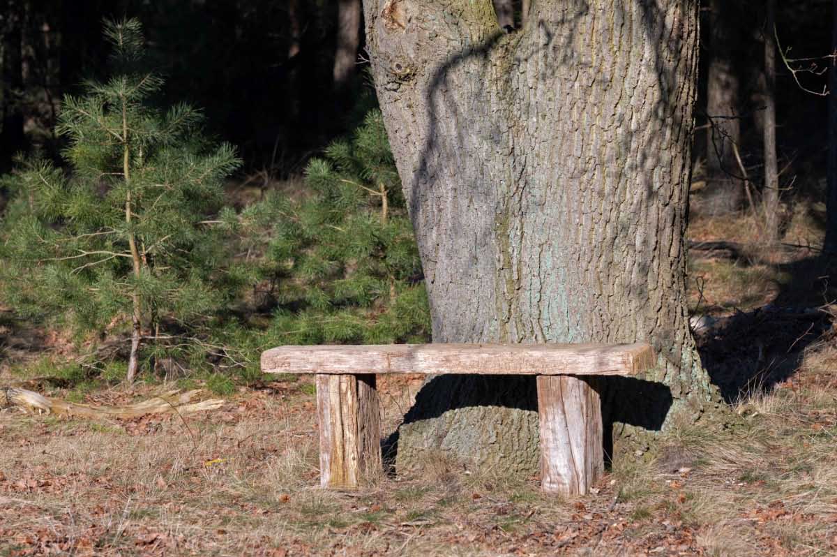 Sonnenbank.jpg