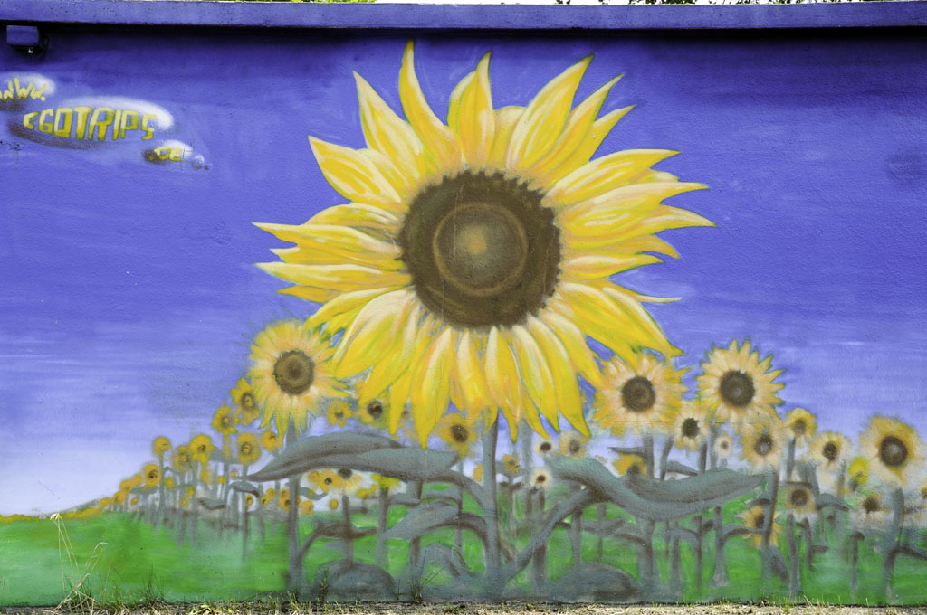 Sonnenblumen Graffiti