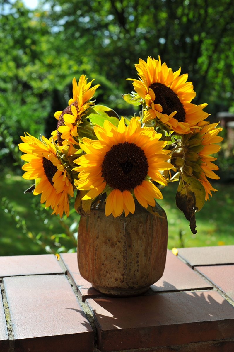 Sonnenblumenstrauß.jpg
