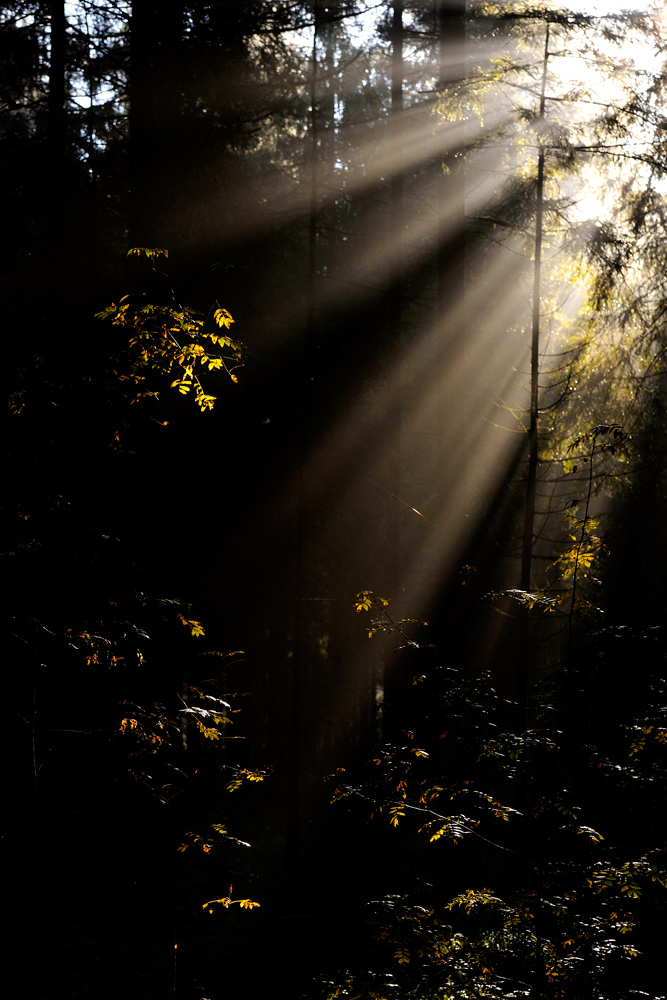 sonnenstrahlen 1