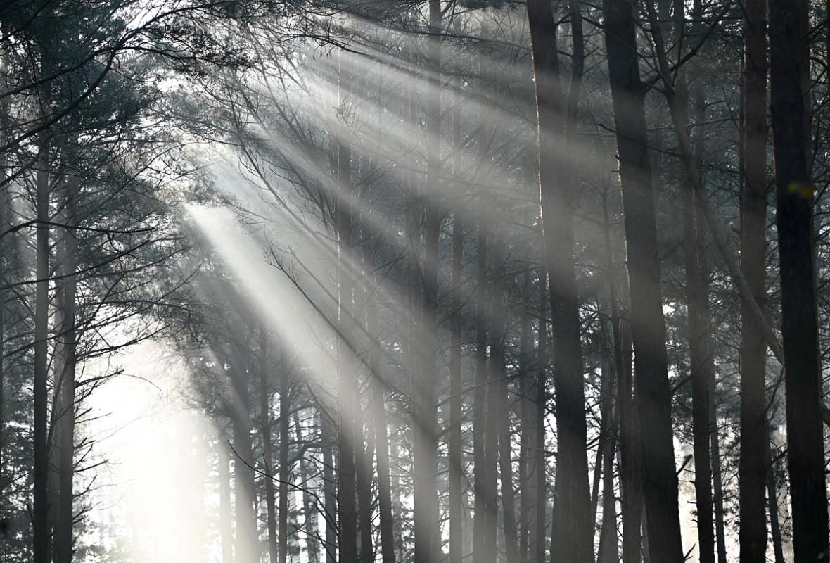 Sonnenstrahlen 2.jpg