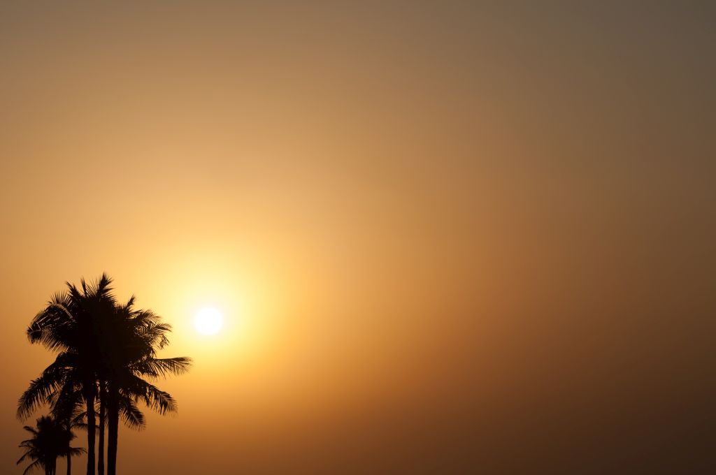 Sonnenuntergang 1