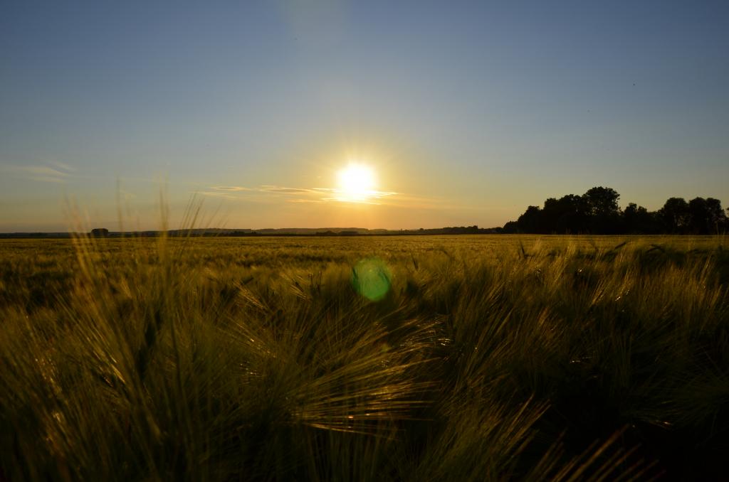 Sonnenuntergang 2011...nächstes mal ohne Linseneffekt:P