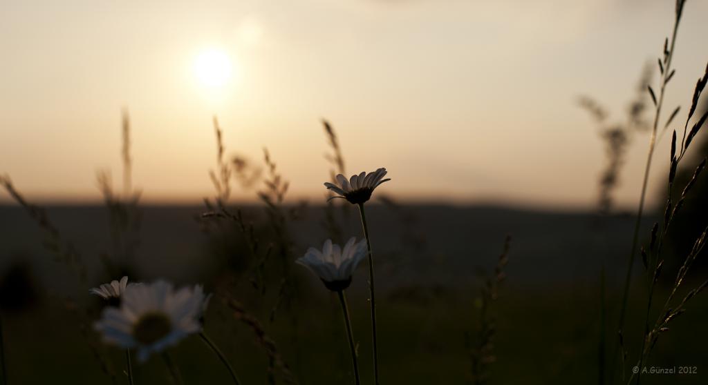 Sonnenuntergang 3