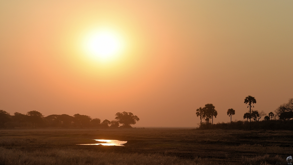 Sonnenuntergang am Katuma River
Katavi Nationalpark

s790 Katavi Sonnenuntergang 0075