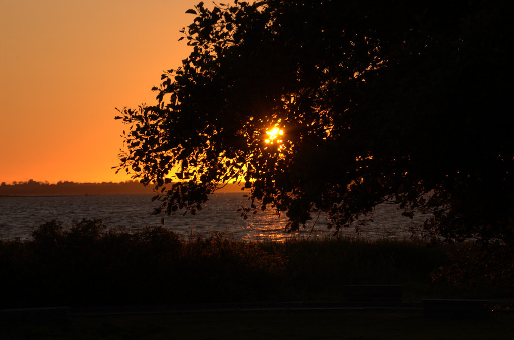 Sonnenuntergang am Limfjord