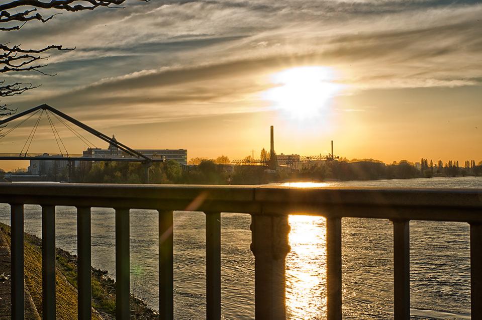 Sonnenuntergang am Rhein in Düsseldorf