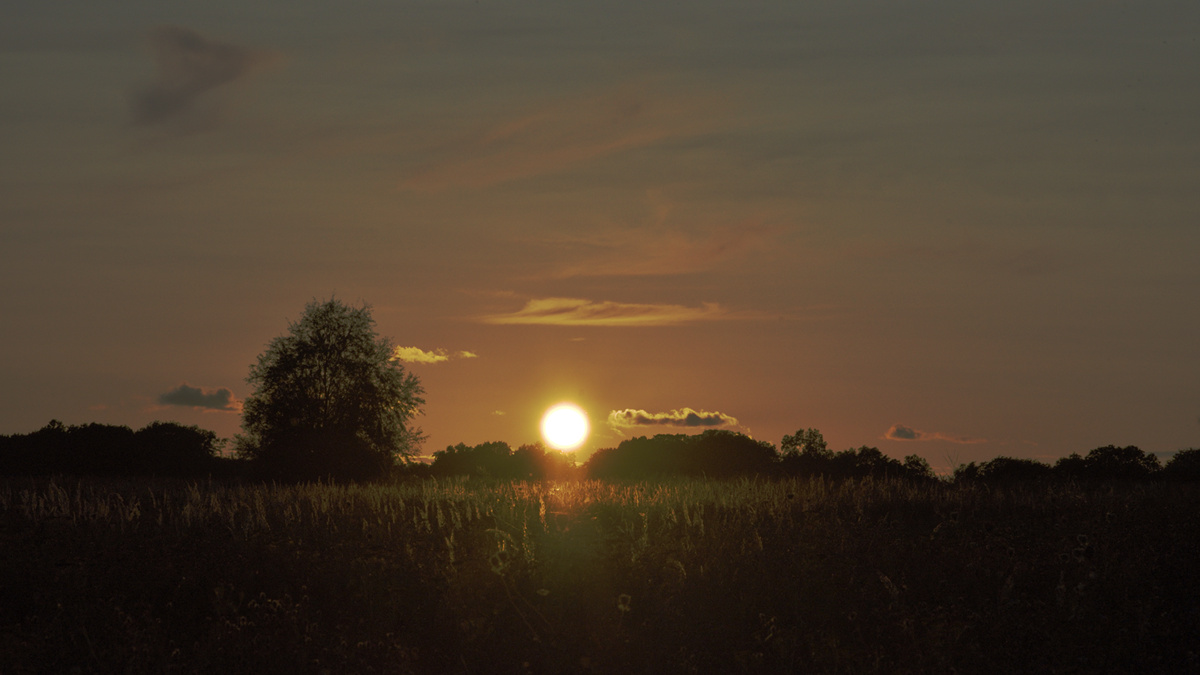 Sonnenuntergang Anfang September. Scheint doch noch Sommer zu werden - Altweibersommer.