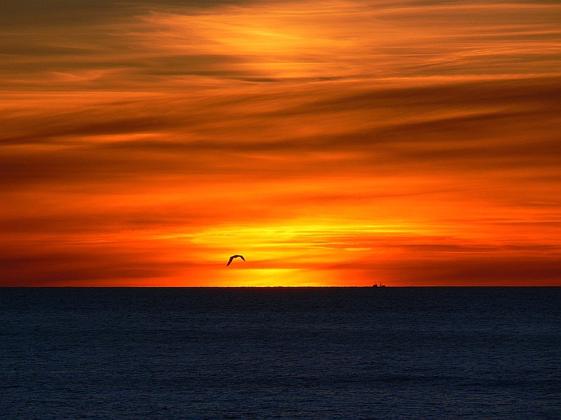 Sonnenuntergang auf Cape Breton Island (Nova Scotia)