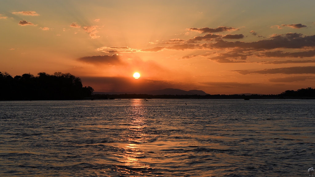 Sonnenuntergang auf dem Rufiji River
Selous Game Reserve

s1595 Selous Sonnenuntergang 1055