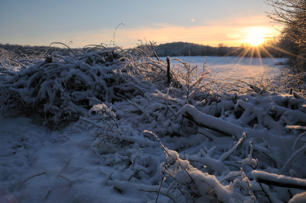 Sonnenuntergang Feld