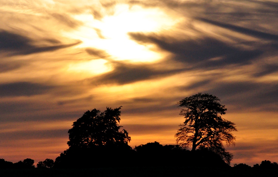 Sonnenuntergang Forumgröße