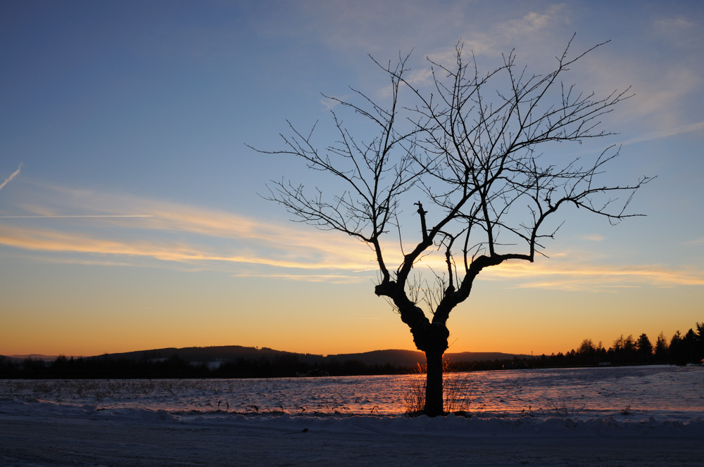 Sonnenuntergang Friedrichsbrück I