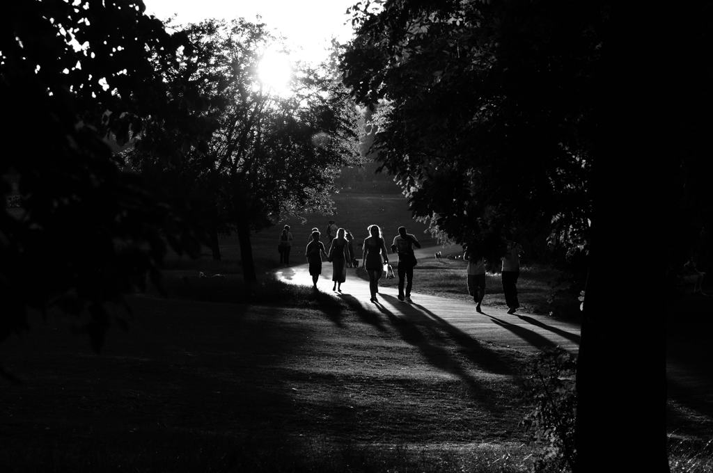 Sonnenuntergang Hampstead Heath
