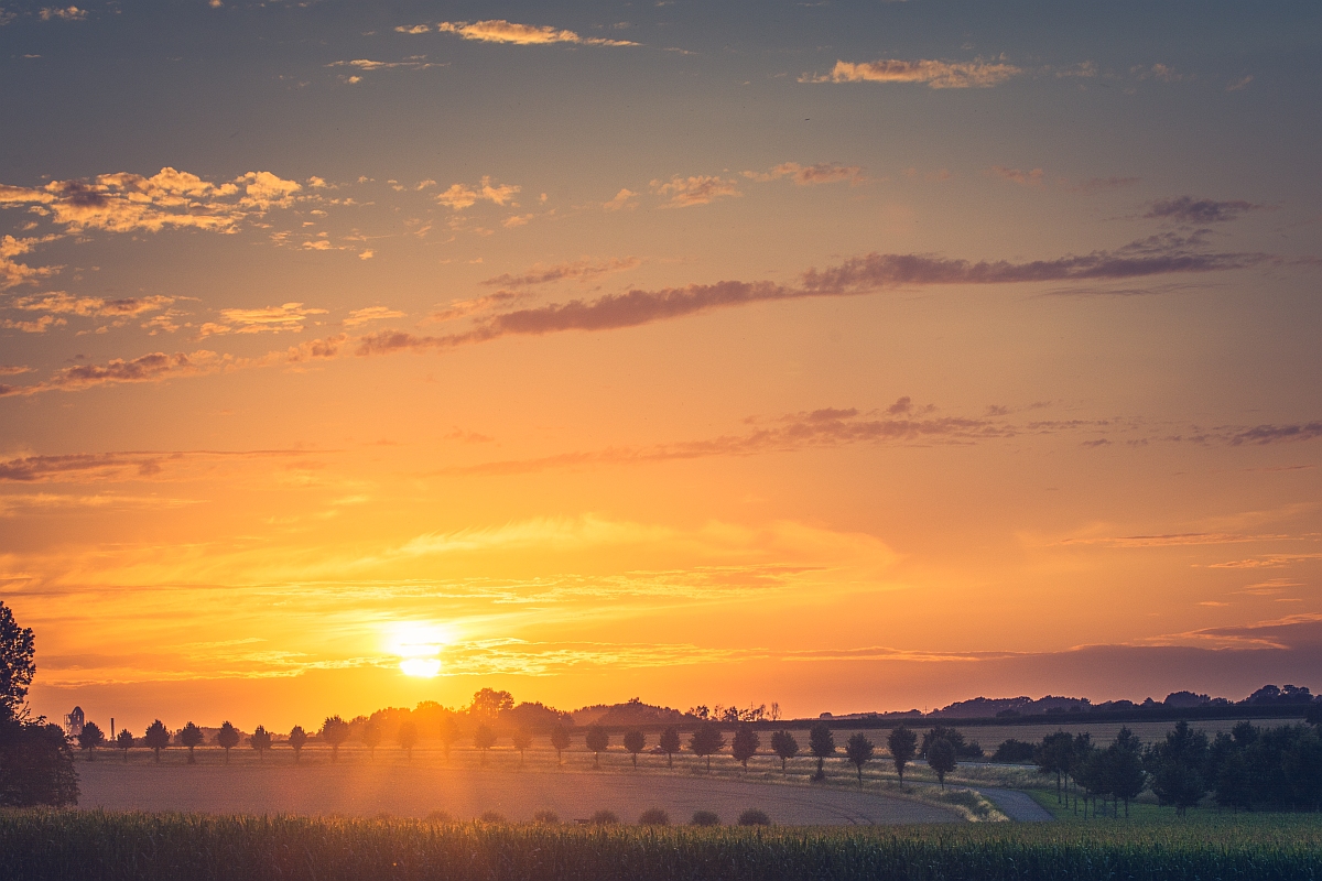 Sonnenuntergang im Münsterland