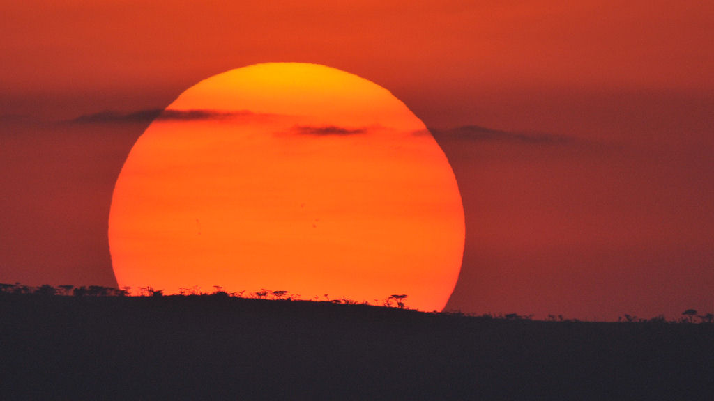 Sonnenuntergang in der Seronera
5216