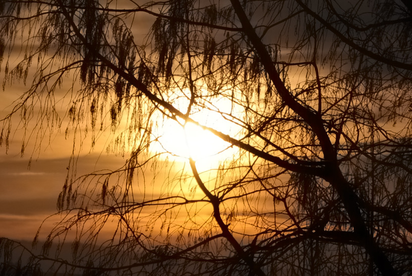 Sonnenuntergang 
ISO  Lo1
85 mm
1280 x 865
1/4000
F 5.6
S / Blendenautomatik
WB Auto
