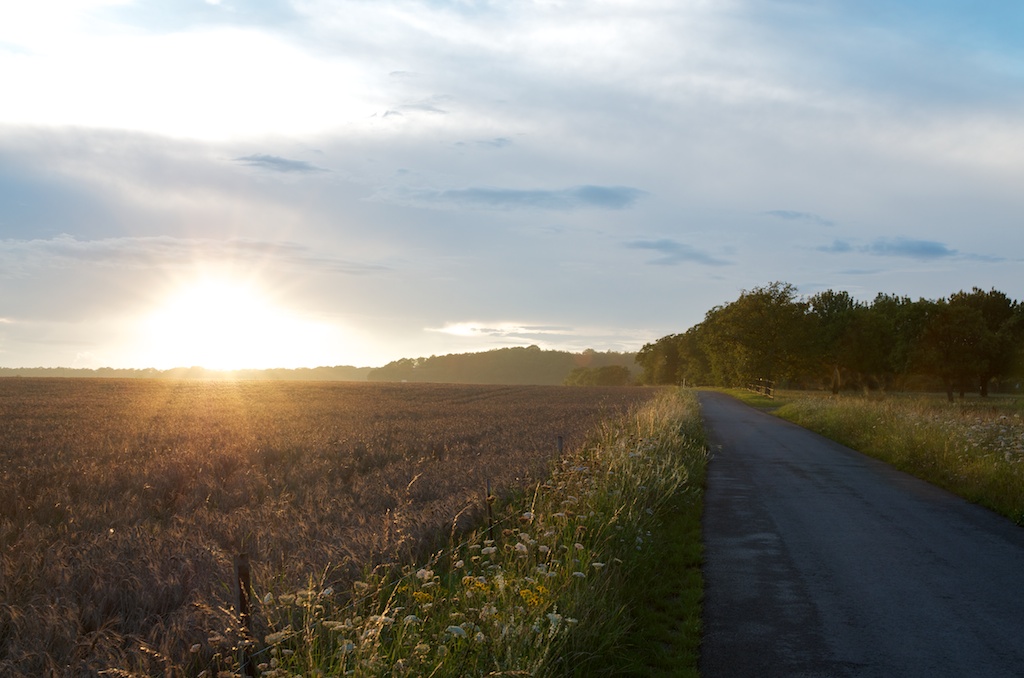 Sonnenuntergang Mandelbachtal