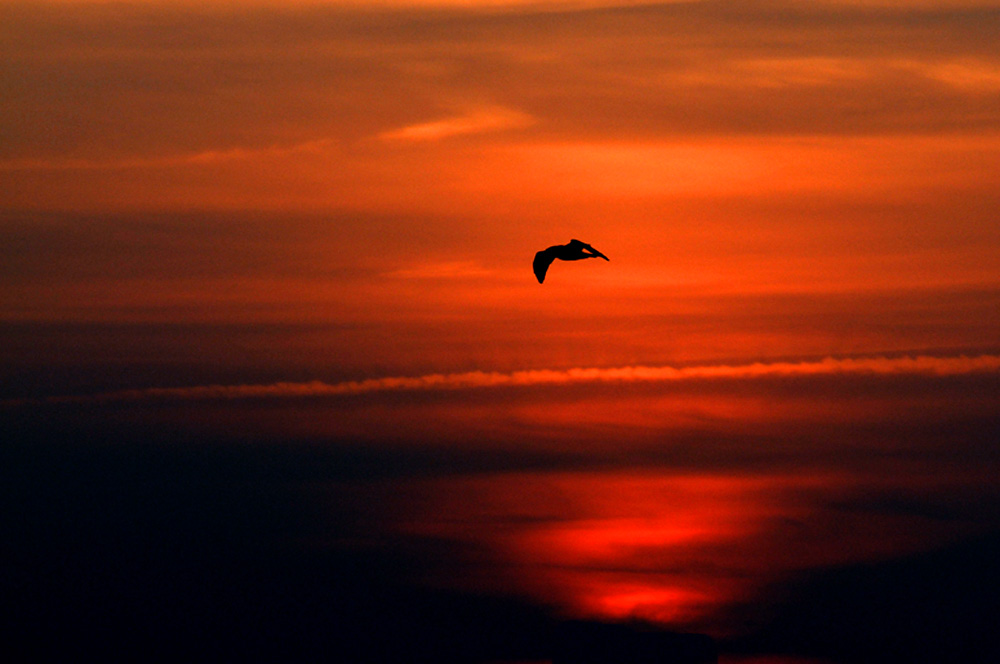 Sonnenuntergang vor Sylt