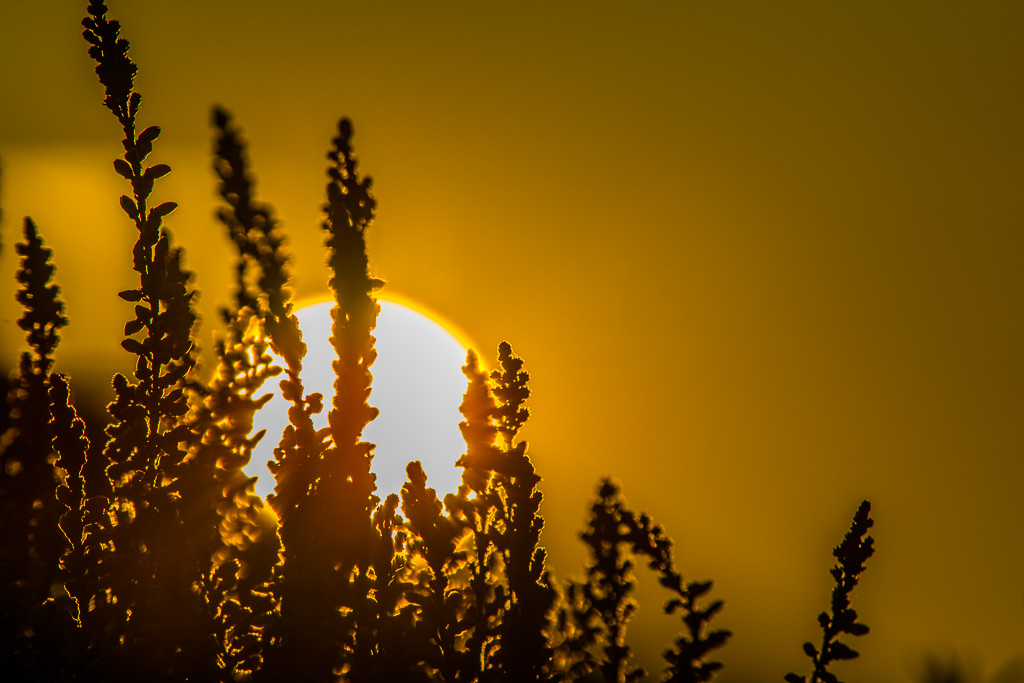 Sonnenuntergang